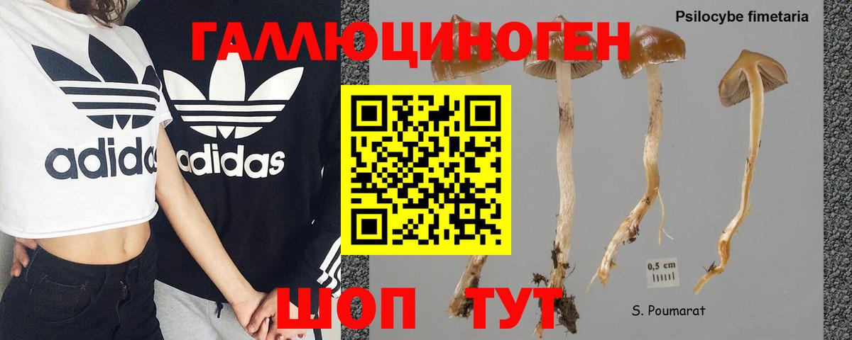 Псилоцибиновые грибы мухоморы Кисловодск